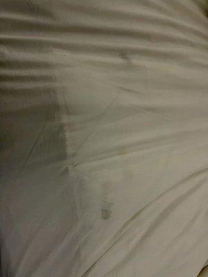 The sheets were not clean