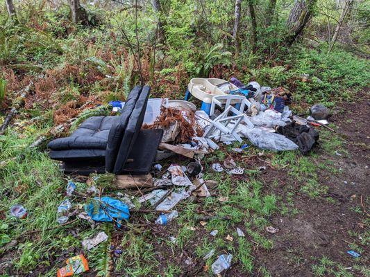 APM owned property across the street from its Larc and Woodland apartments. Garbage left  ten days after an incomplete cleanup.