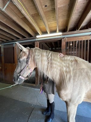 Our residents enjoy going horseback riding. They learn to groom the animals and develop their self-confidence when they ride.