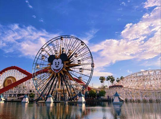 Mickeys Fun Wheel during the sunset! Beautiful!