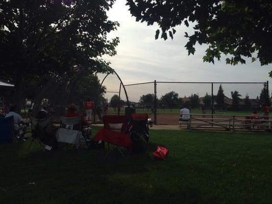 Watching baseball.