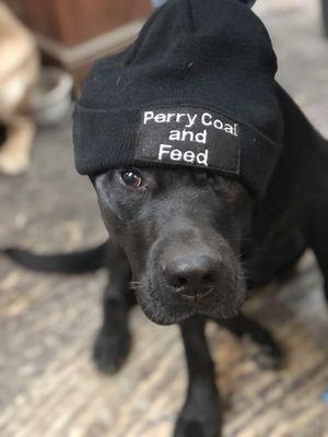 Perry Coal & Feed