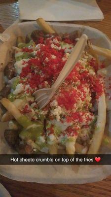 Carne asada fries