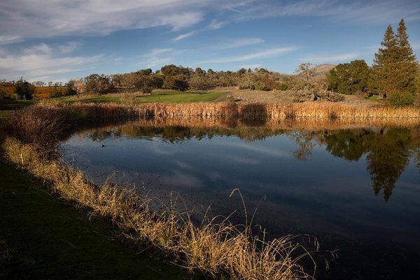 Exquisite scenery and abundant flora and fauna will make your round of golf feel more like a stroll through a natural wonderland.