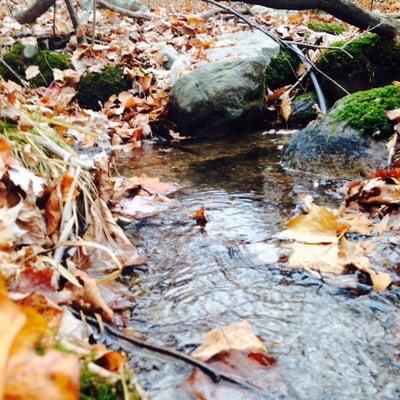 Spring water flowing on Penobscot Mountain.