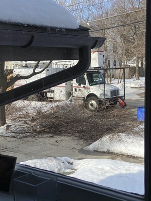 How they left the brush so we couldn't get out of the driveway