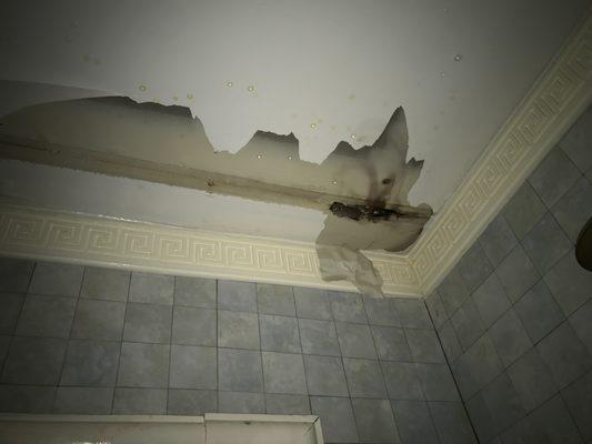 Mold & Water Damage