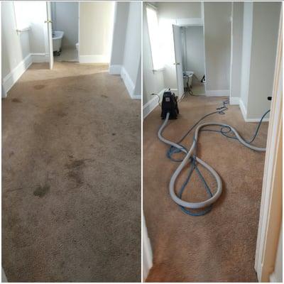 Before and after pictures carpet cleaning Minneapolis