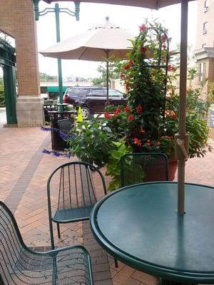 Huge planters, overflowing with plants (Salvia, and Clematis, among others), grace the patio off the main entrance.