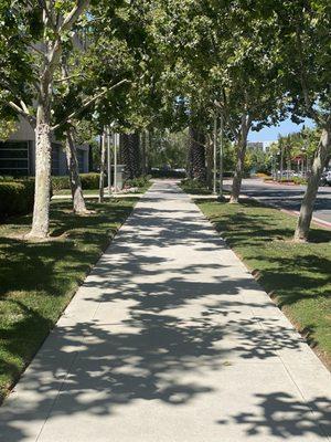 TruForm Concrete Specialists | Irvine