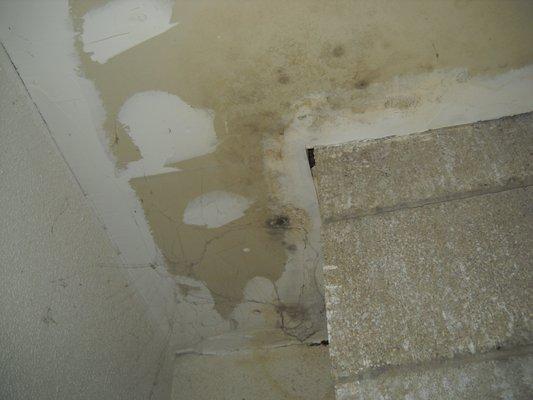 Mold on drywall.