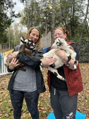 Holding baby goats