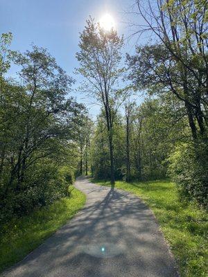 On the walking path at Greenwood Park