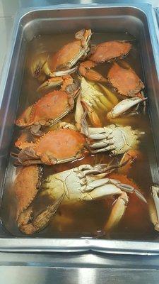 Blue crabs