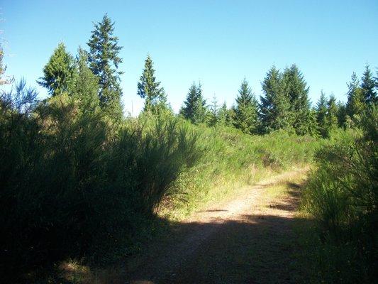 170 acres Hwy 3 Belfair, WA