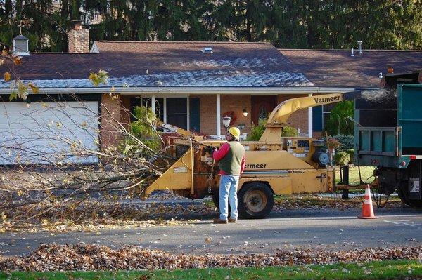 Shull's Tree Service Inc