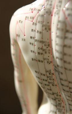 Learn More about our Masters of Acupuncture Studies Degree