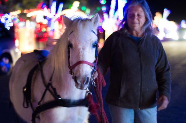 Yuma Horse Adventures pony and cart at the foothills Story Lane