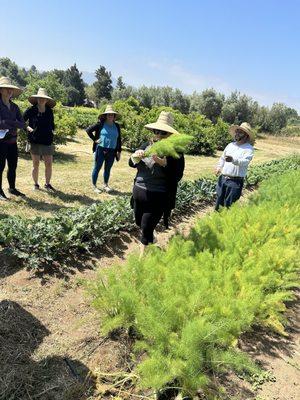 The ranch grows their own food. Truly farm to table.