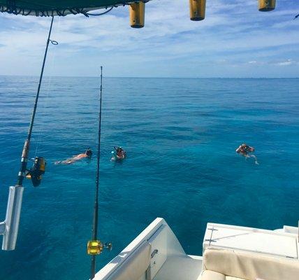 Snorkeling the reef