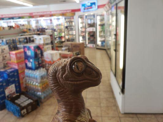 Bob the Raptor says "Drinks and stuff."