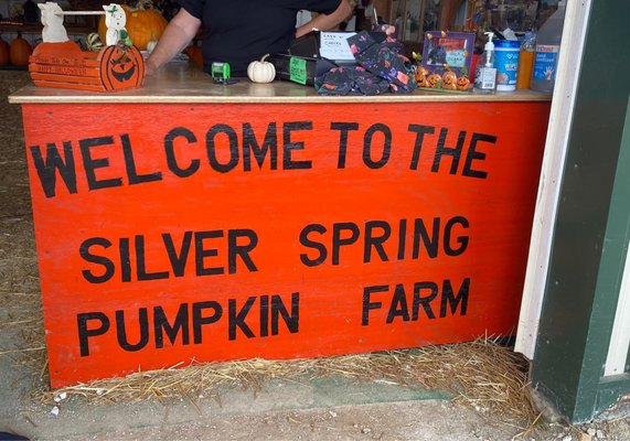 My favorite pumpkin farm now