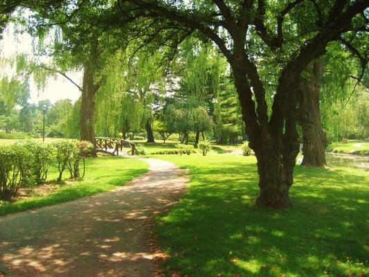 Binney Park across the street