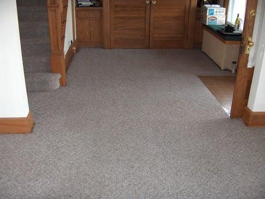 Living Room Capet - After Cleaning