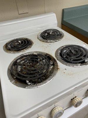 DISGUSTING stove top