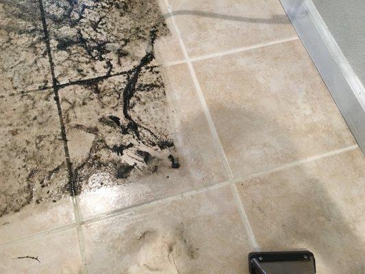 Tile & Grout cleaning - call us for a free estimate!