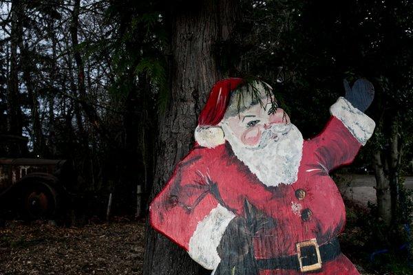 best seattle holiday mini session photographer - anna nodolf at Pfaff's tree farm