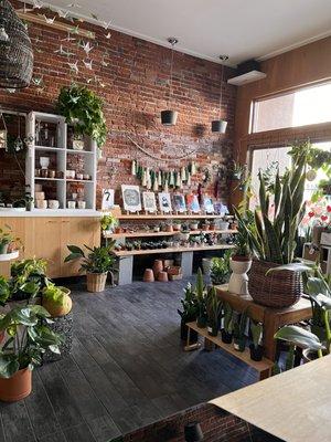 Vang's Plants and Succulents Hub