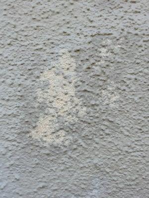 this stucco job is about 1y old