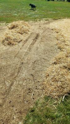 6 wheeled truck tire tracks on freshly graded seeded and hayed area.