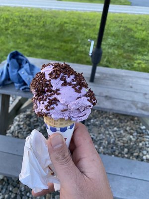 blueberry ice cream. so good!