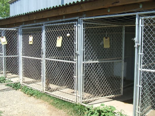 outside view of small dog runs