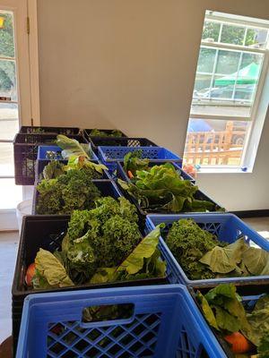 Getting  CSA box ready  for  pick up. Every week a different group of  amazing  vegetables.