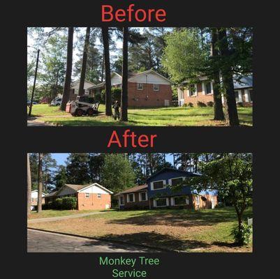 Before and after some tree removals. Call us for a free estimate 9194491046