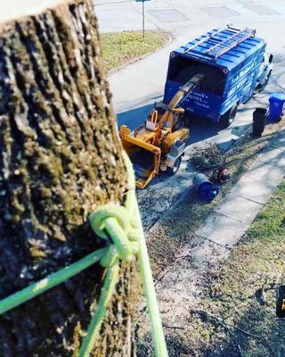 Bob McGraths Tree Service  LLC