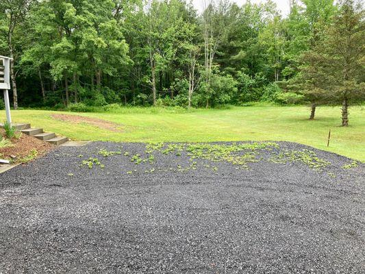 My new gravel driveway with emergent weeds (three weeks old)