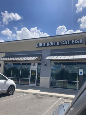 Bird Dog & Cat Fish