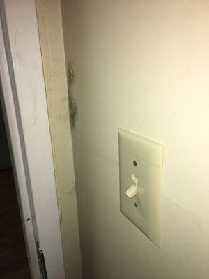 Black mold in my mother's room