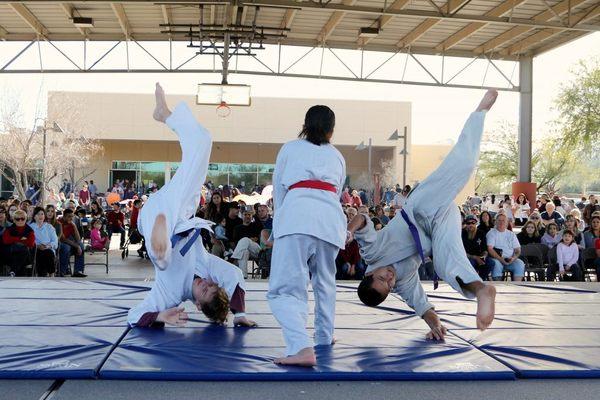 Aikido at the Center