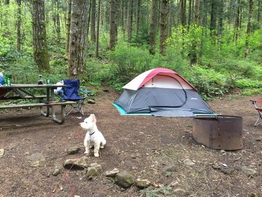 Just setup camp, right before the rain came:(