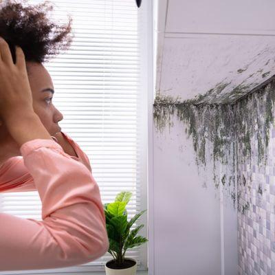 Woman Looking At Mold On Wall.