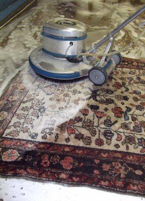 Attention to detail is paramount in our rug cleaning service.  Pictured is a soft rotary brush massaging and cleaning the wool pile.