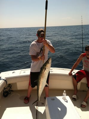 King mackerel 25 lbs