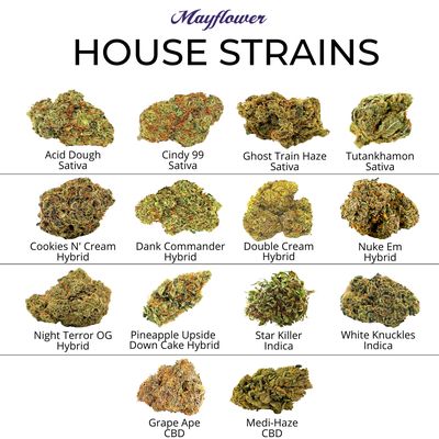 We have 14 house strains of flower in Indica, Sativa and Hybrid at Mayflower in Allston