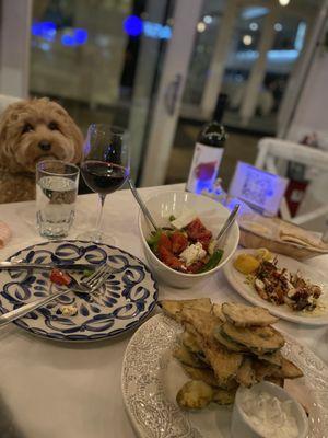 Dog friendly outdoors and delicious wine