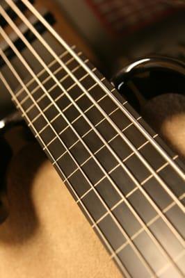 Fretless bass conversion